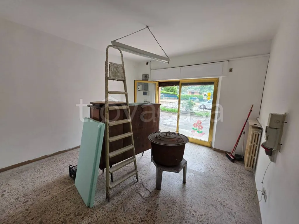 Toad - Apartment with Garage near Perugia Centre