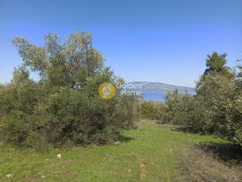 Jardin - Agricultural Plot with Sea and Mountain View in Dafnousses