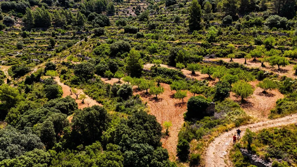 Eco-Resort Platform with DIC in Sierra Engarcerán