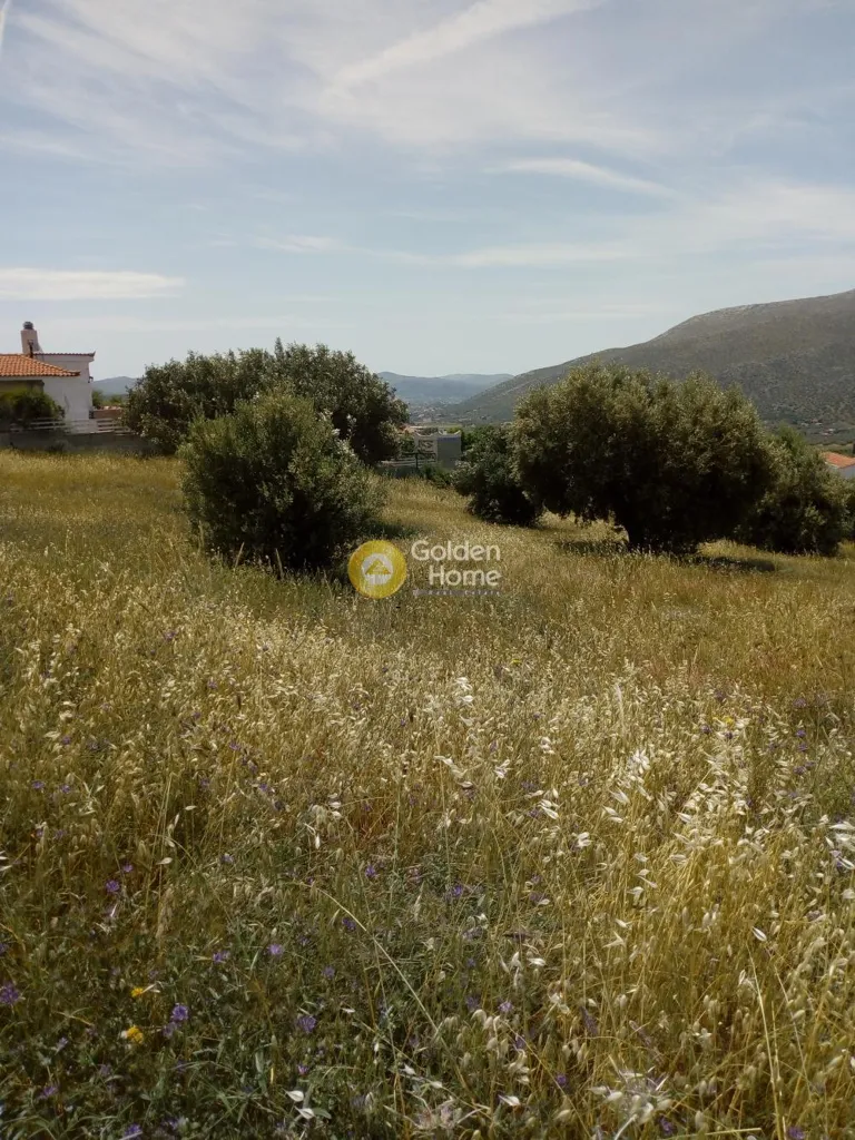 Jardin - Farmhouse with Panoramic View in Lagoni