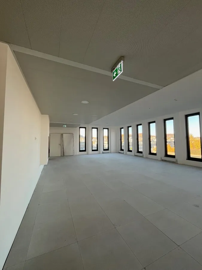 Pièces - Bureau avec façade moirée à Esch-sur-Alzette
