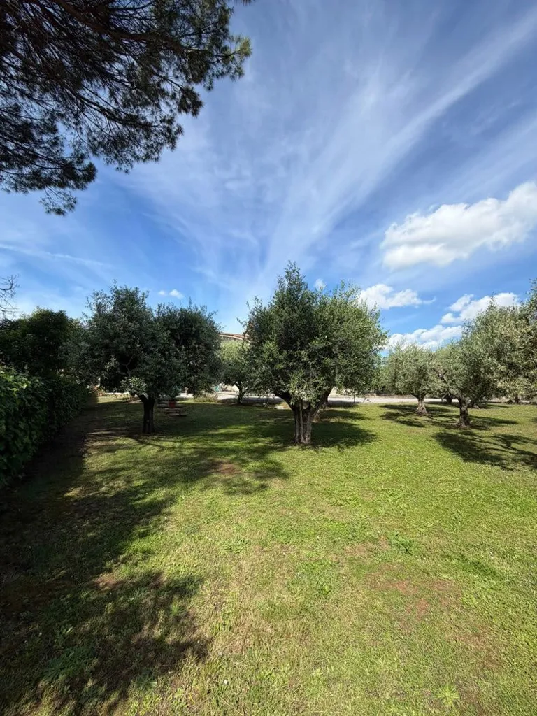 Jardin - Rustic Villa with Garden in Lanuvio