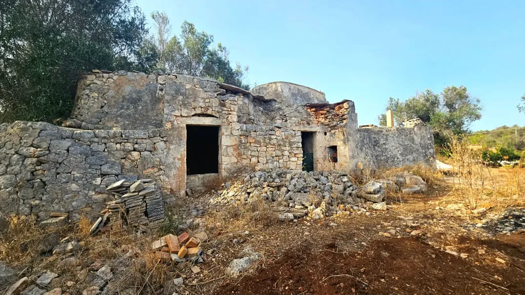 Extérieur - Trullo with Olive Grove in Carovigno