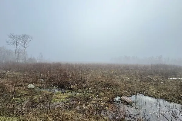Development Land with Harbour View in Paldiski