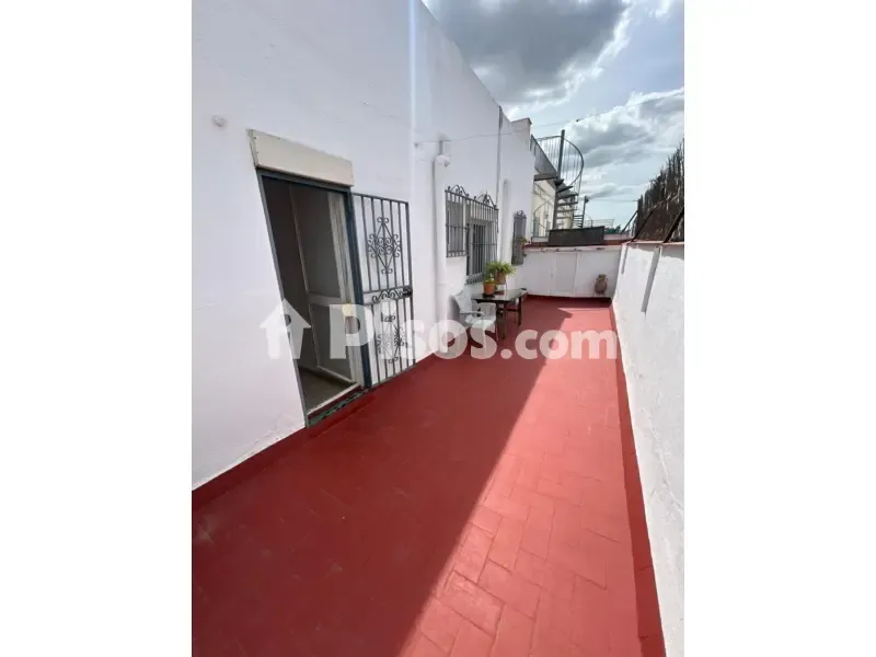 Terrass - Loft with High Ceilings in Alameda de Hércules