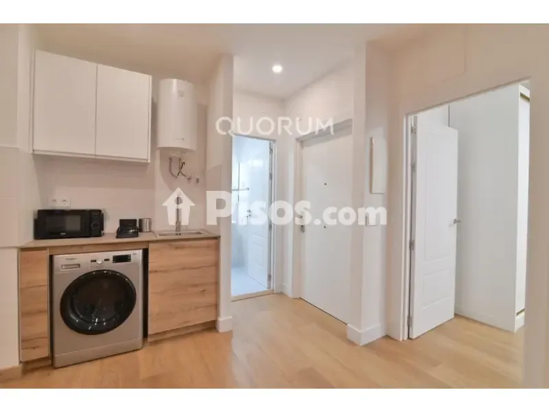 Pesuköök - Renovated Flat with Balcony in Alameda de Urquijo