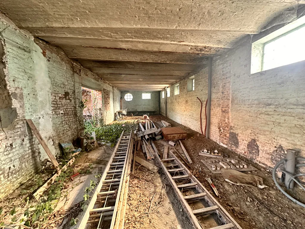 Toad - 15-Unit Property for Renovation in Noeux-les-Mines