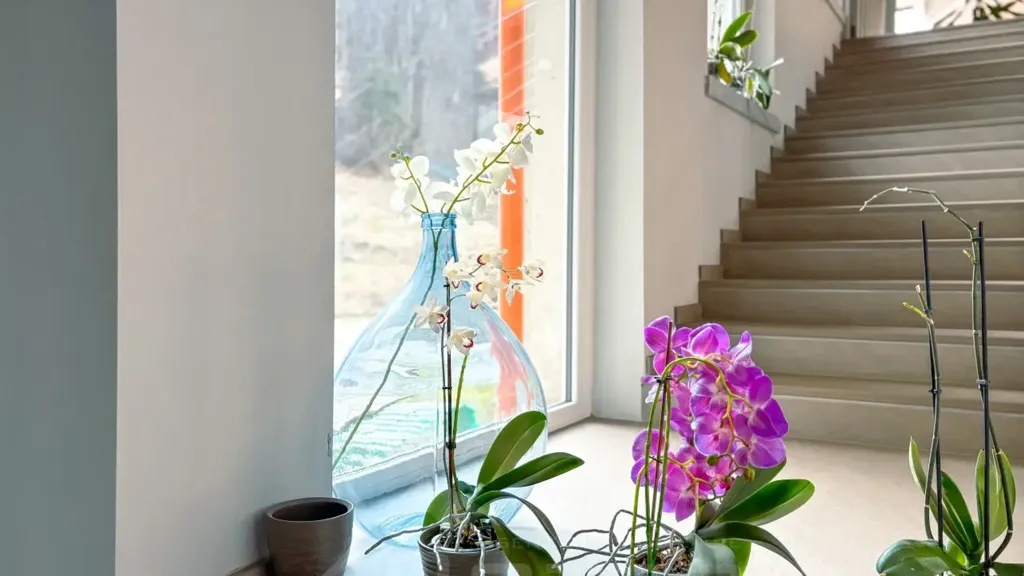 staircase