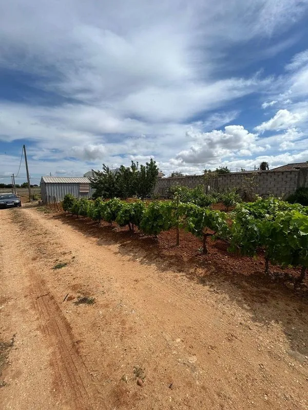 Jardin - Chiclanan Chalet Plot with Pool on La Playa Road