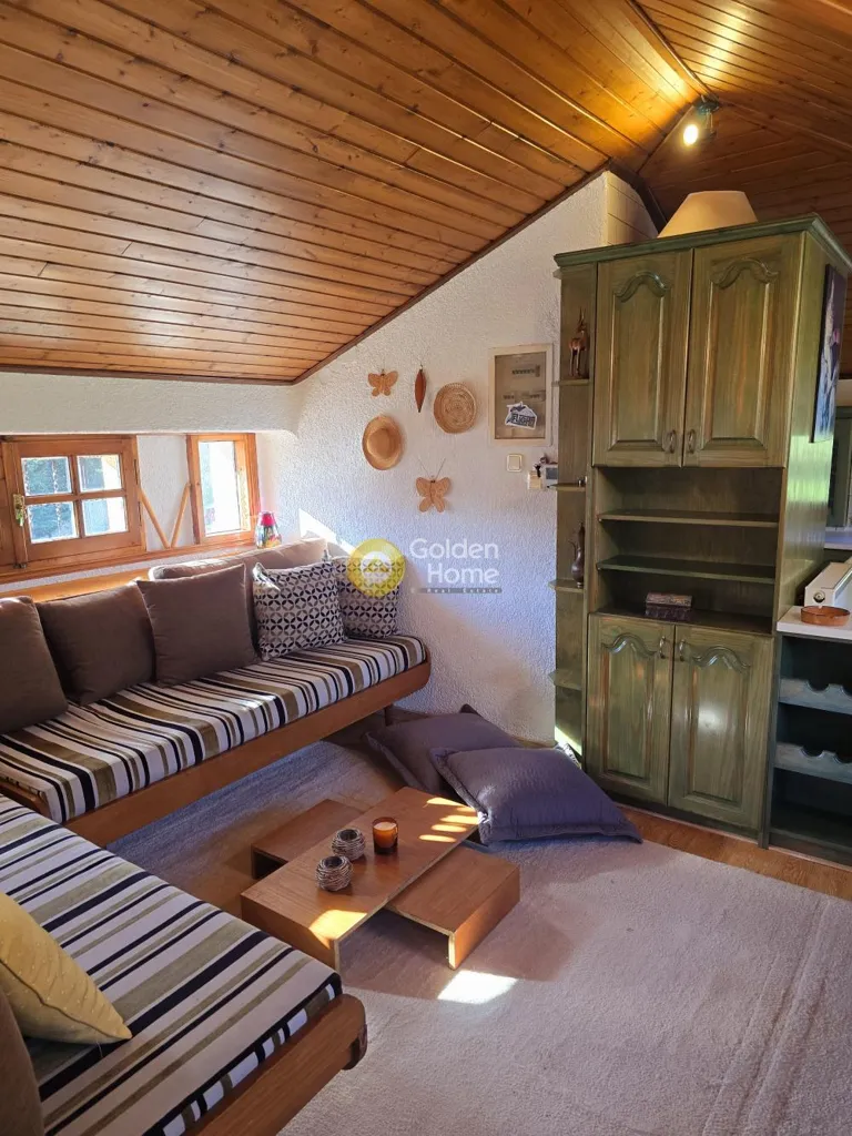 Elutuba - Detached House with Garden in Arachova Meadow