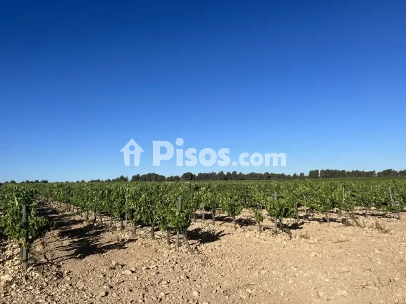 Jardin - Historic Finca with Vineyards in Requena