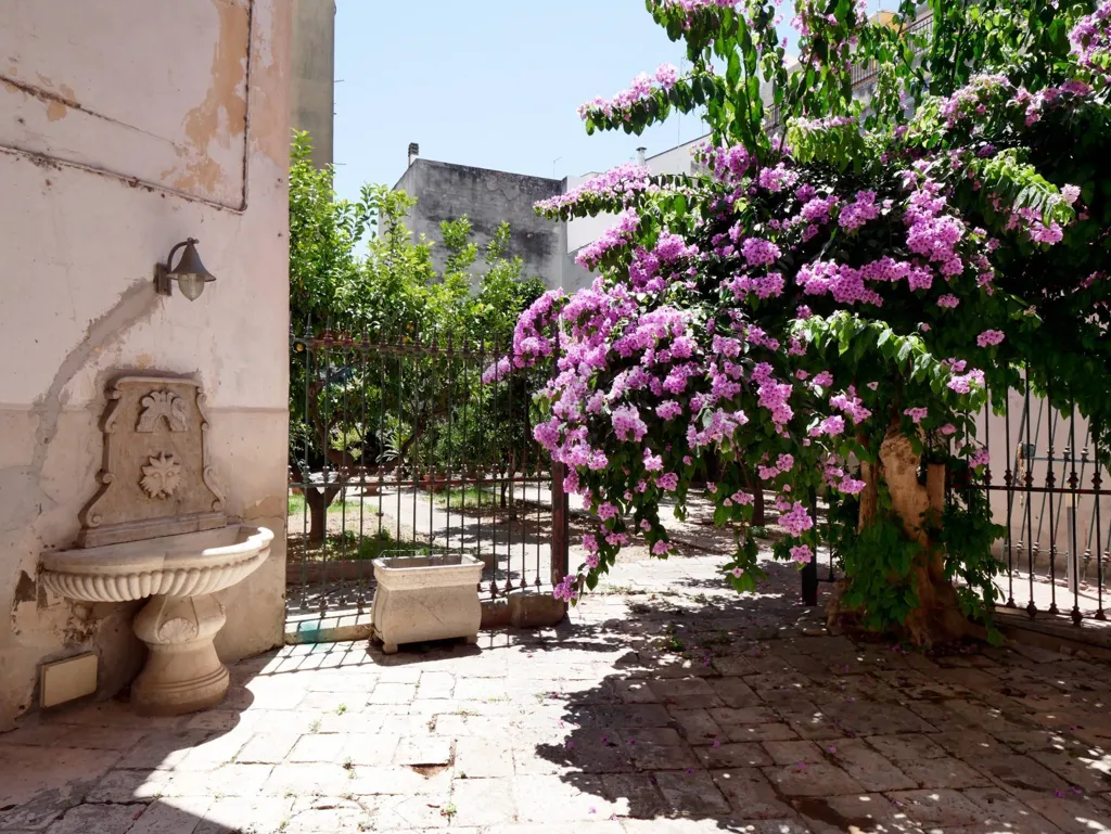 Garden - Dependance with Garden in Acquaviva delle Fonti