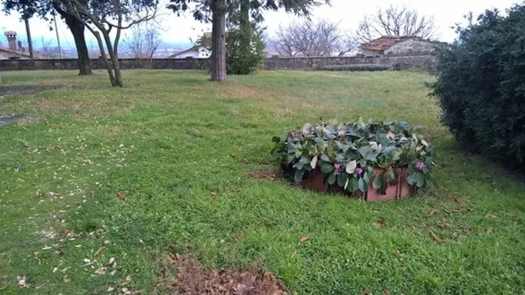 garden