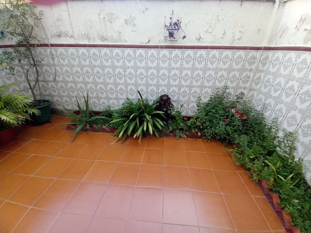 Jardin - Ground Floor Flat with Terrace in Gorg - Pep Ventura