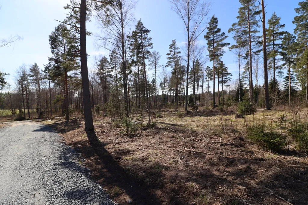 Garden - Land Plots with Utilities Near Gottröra