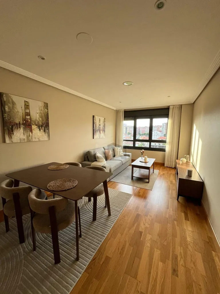 Séjour - Furnished Flat with Garden near Gran Vía, Vigo