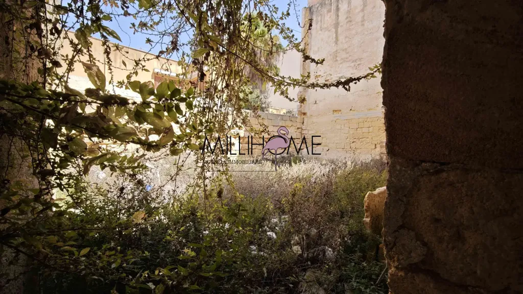 Jardin - Independent House with Terrace in Marsala