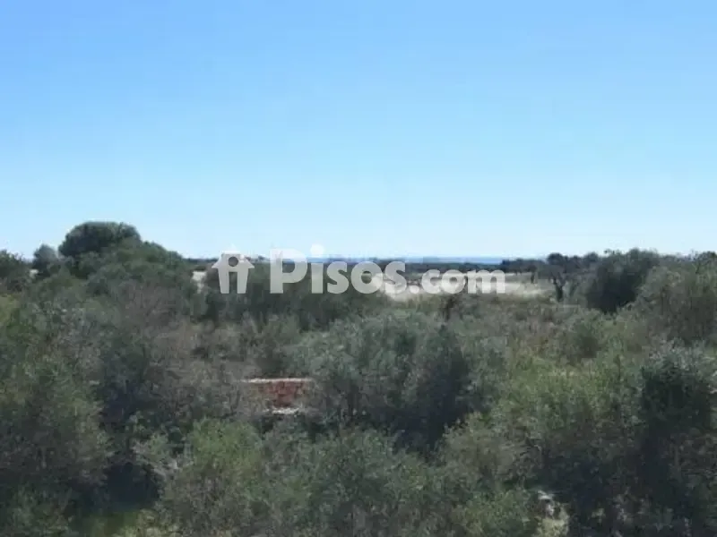 Newly Built Rustic House with Pool in Felanitx