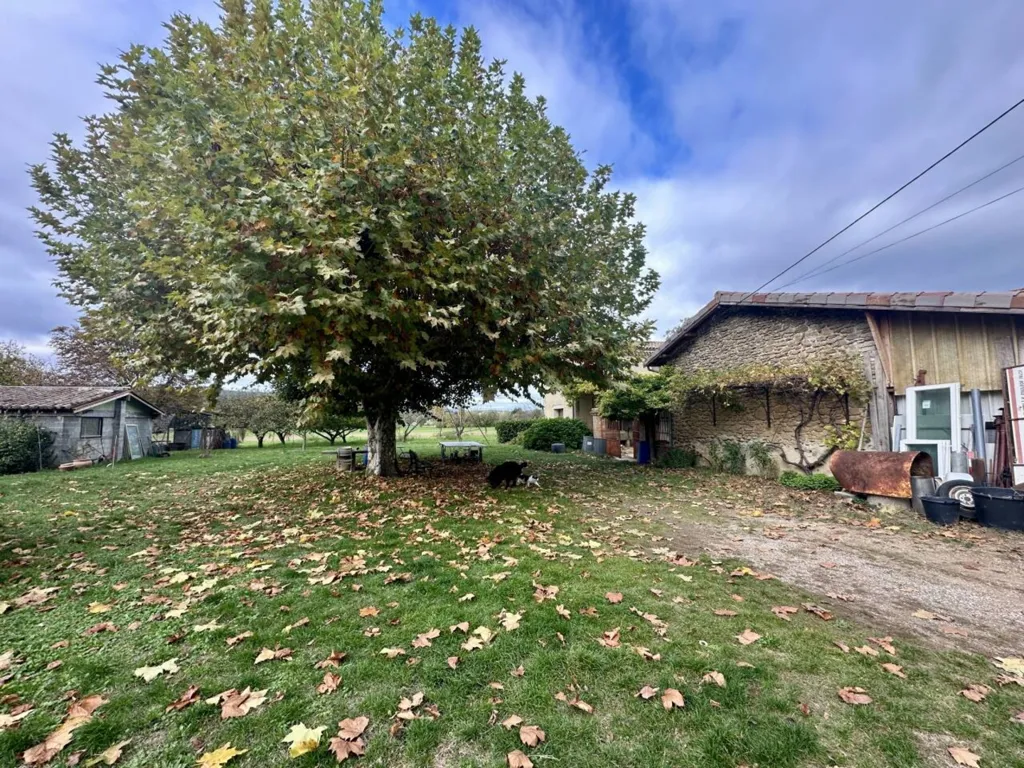 Garden - Six-Piece House with Garden in Upie