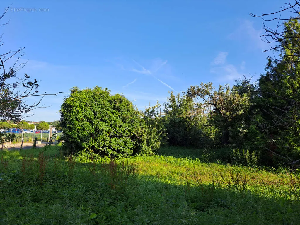 Aed - Commercial Property with Constructible Land in Brive