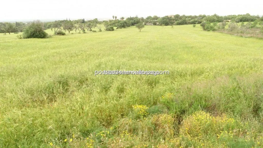 Garden - Rustic Plot with Panoramic Views in Llucmajor