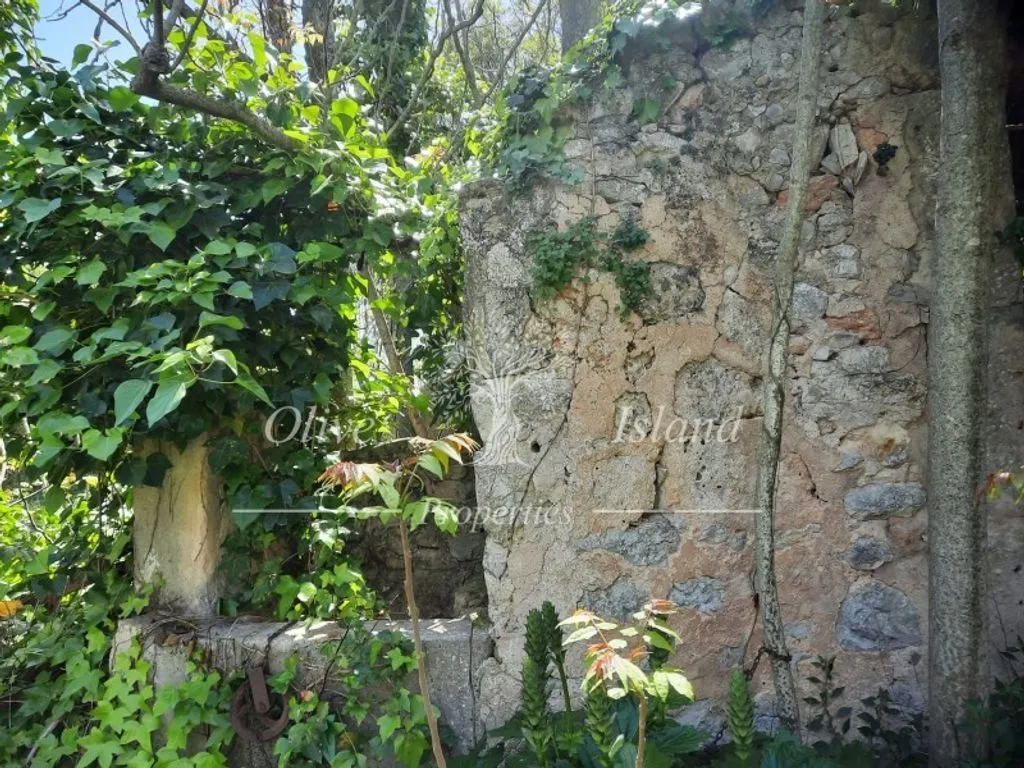 Jardin - 18th Century Manor for Restoration in Binissalem