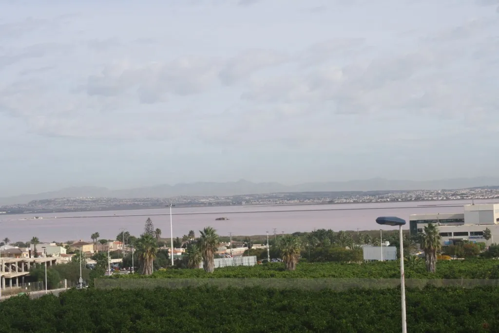 Pareado with Private Pool in Torrevieja