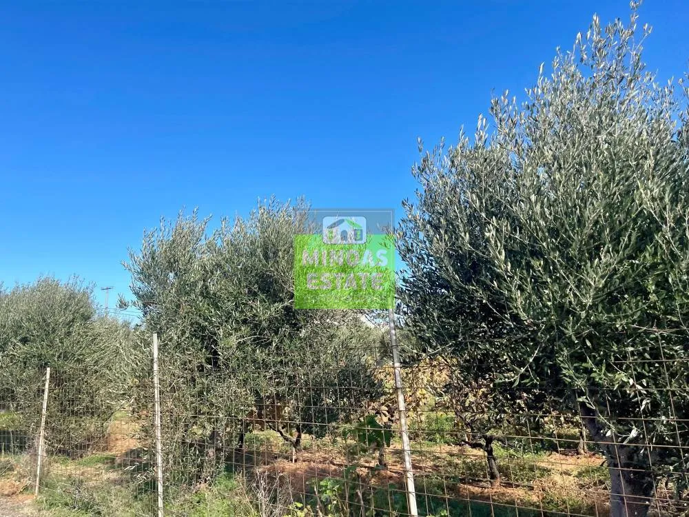 Aed - Corner Plot with Sea View in Tavronitis