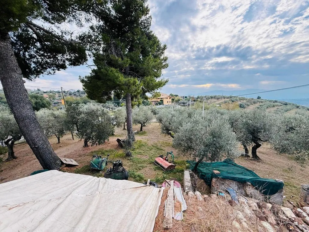 Aed - Villa with Perimeter Garden in Moscufo