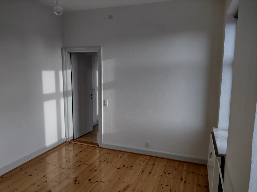 Toad - Spacious Renovated Penthouse in Odense C