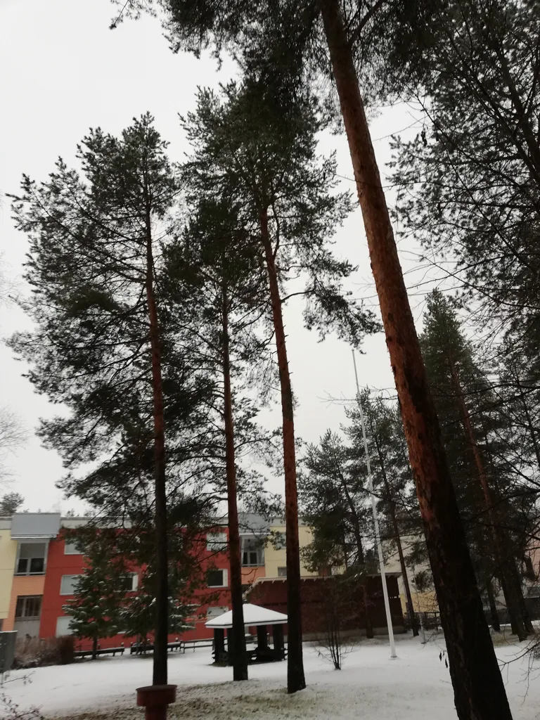 Apartment with Balcony in Kaijonharju, Oulu