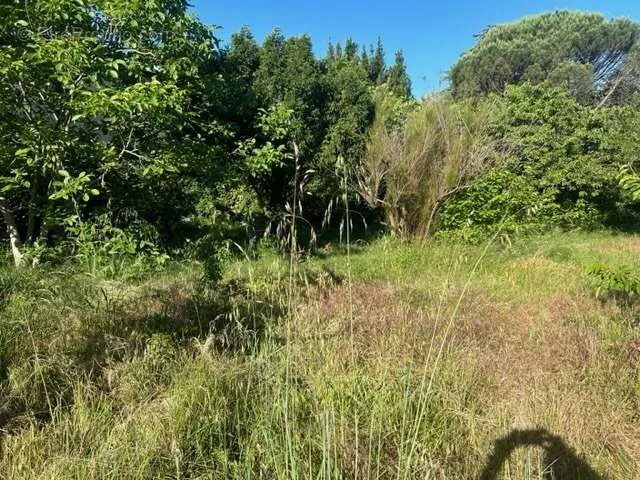 Jardin - Terrain à Bâtir Calme à Craponne