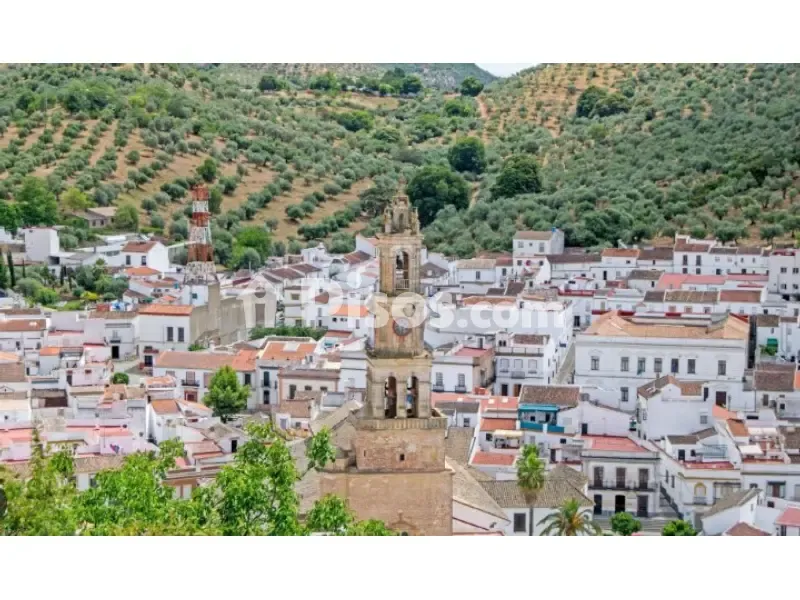 Flat with Terrace in El Aral