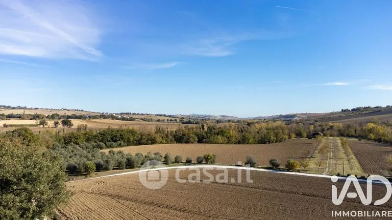 Giardino - Traditional Rustico with Olive Trees in Appignano