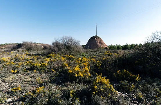 Garden - Land Parcel in Rincón de Soto, La Rioja