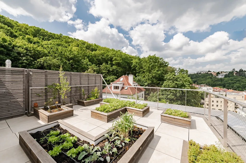 Garden - 6-bedroom apartment in Prague