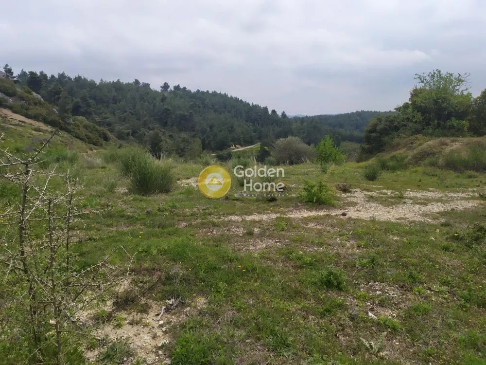 Jardín - Agricultural Land with Forest View in Eastern Attica