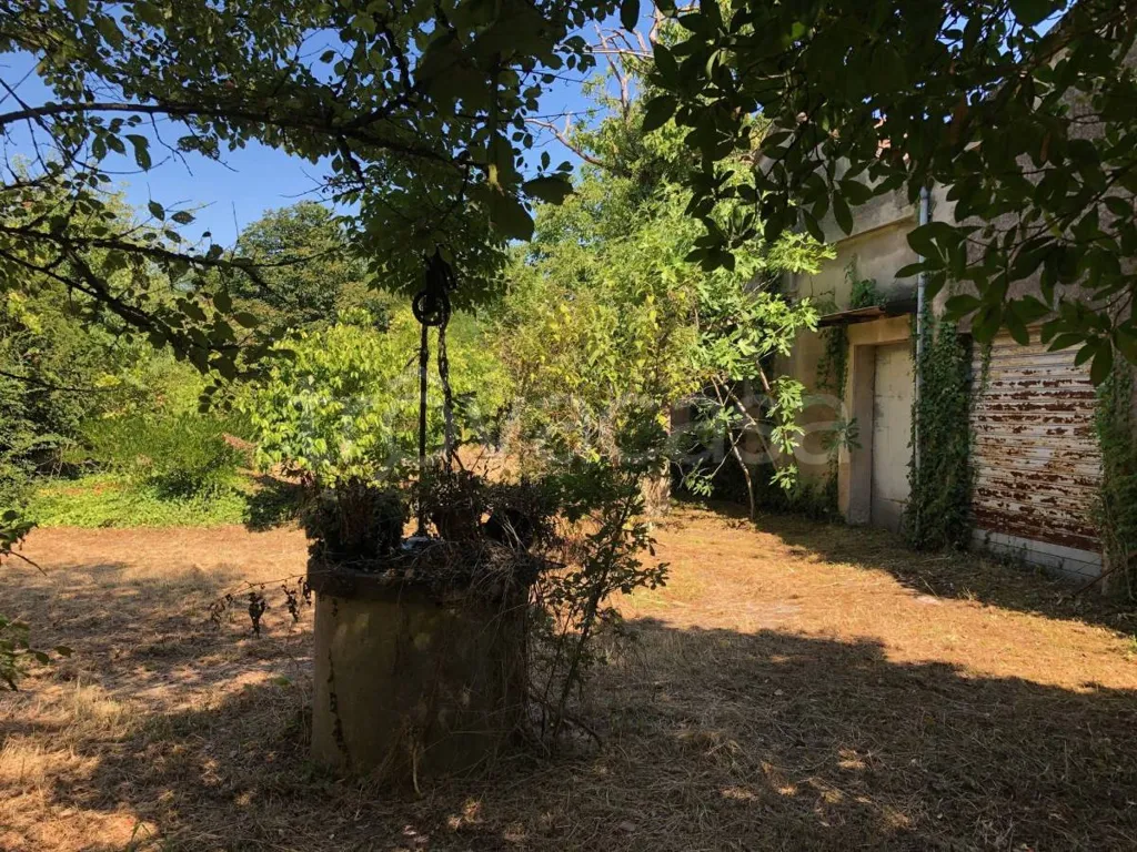 Aed - Independent House with Garden in Voghiera