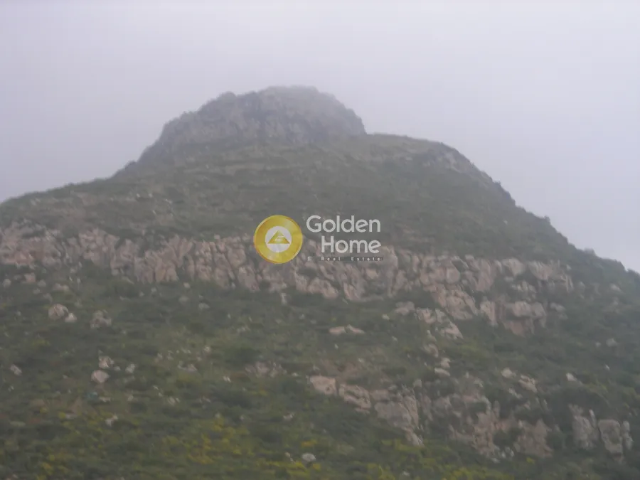Agricultural Plot with Sea and Forest Views in Vasilikos