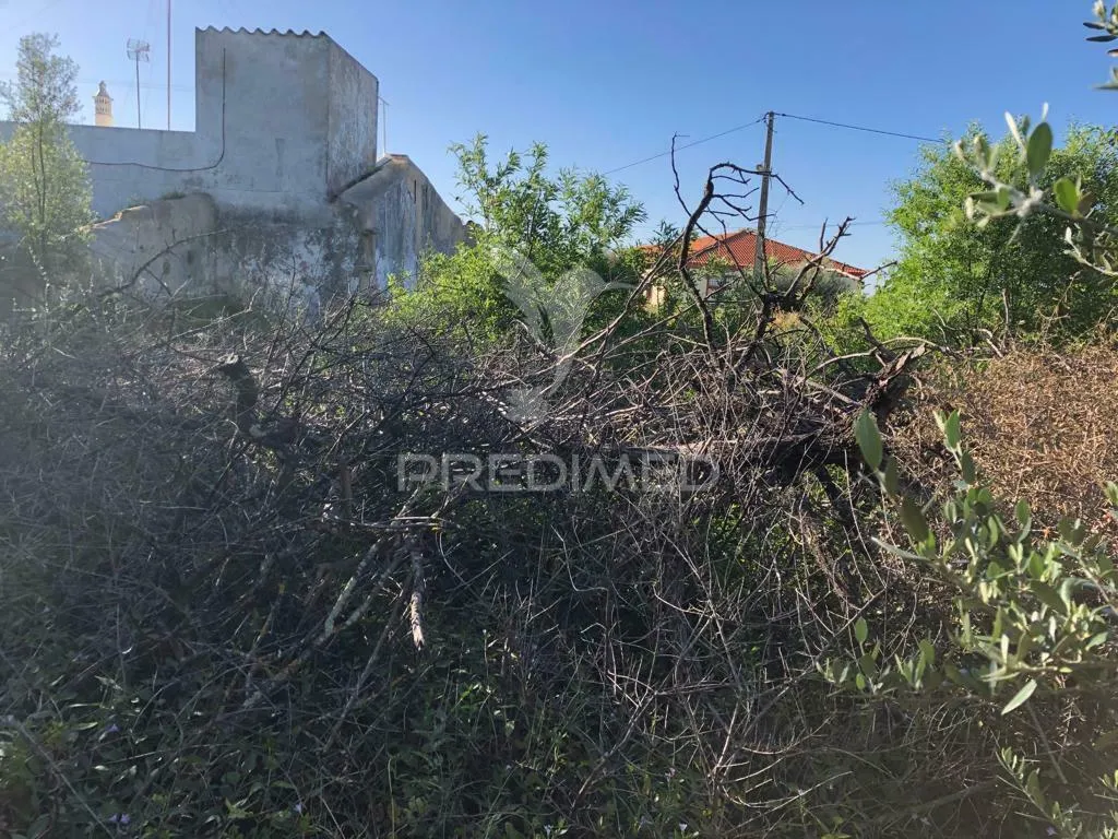 Garten - Building Land for Apartments in Moncarapacho