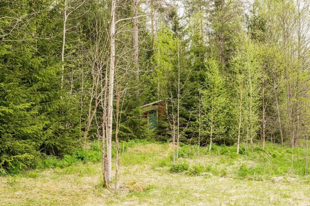 Charming Farm with Water Access in Brunskog