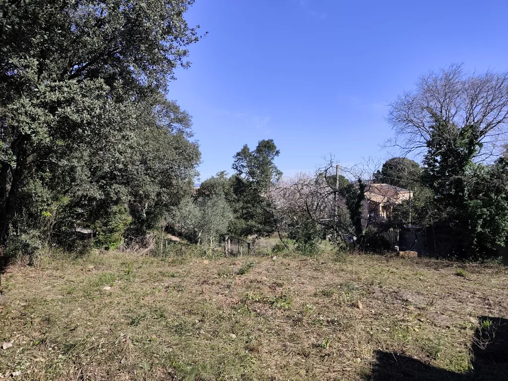 Jardin - Terrain à Bâtir avec Forte Constructibilité à Canet