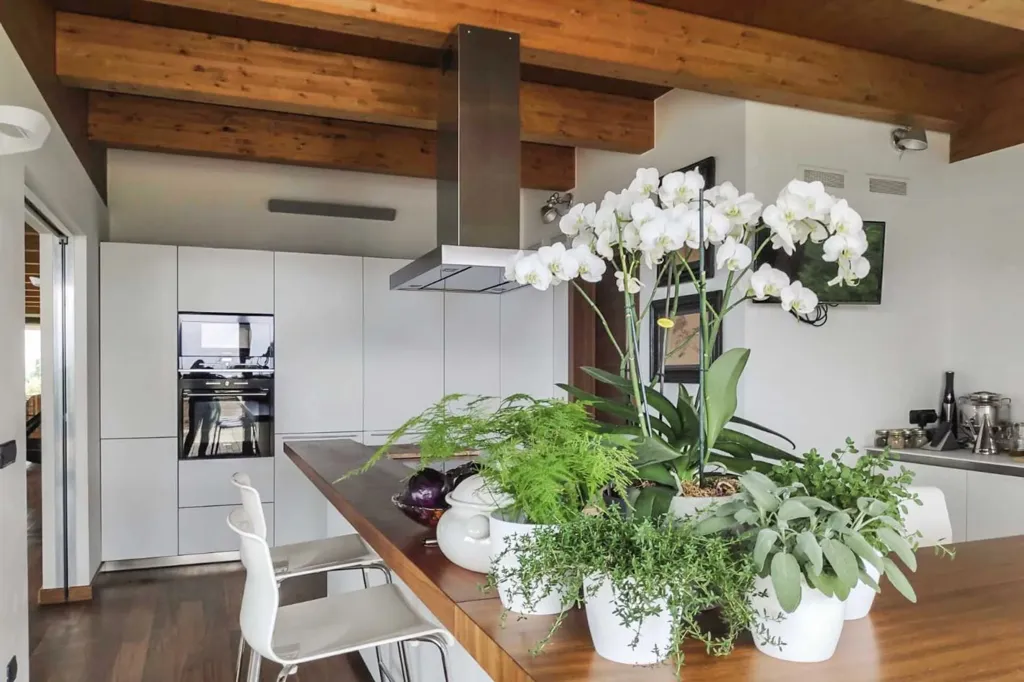 Cuisine - Modern Villa with Pool and Spa near Parma