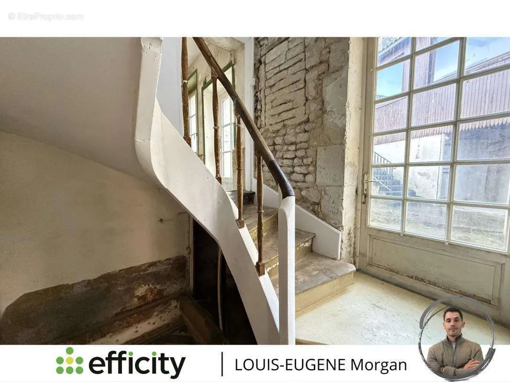 Toad - City House with Terrace in Mirebeau