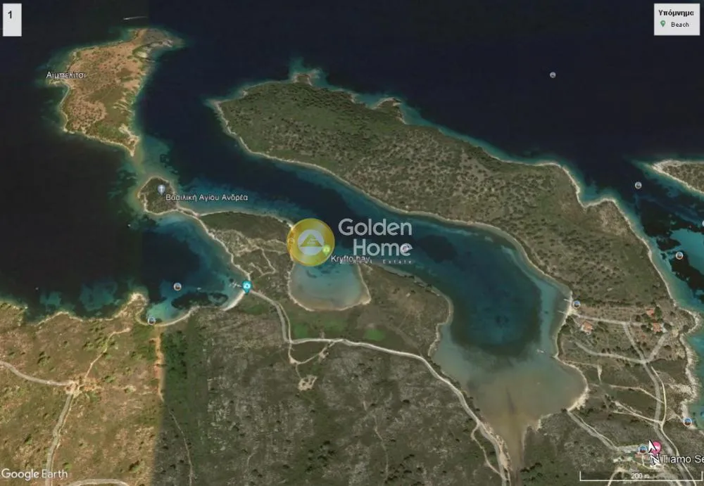 Olive Grove with Sea View in Sithonia