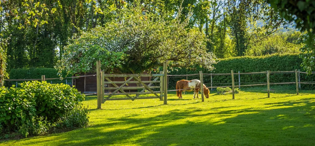 Garden - Luxury House with Mont Blanc View near Geneva