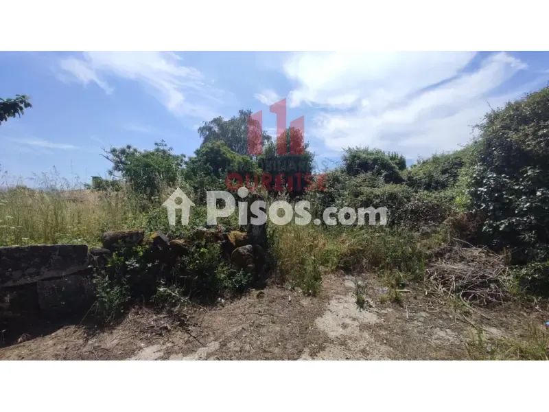 Jardin - Stone Cottage for Renovation with Large Plot in Cebreiro