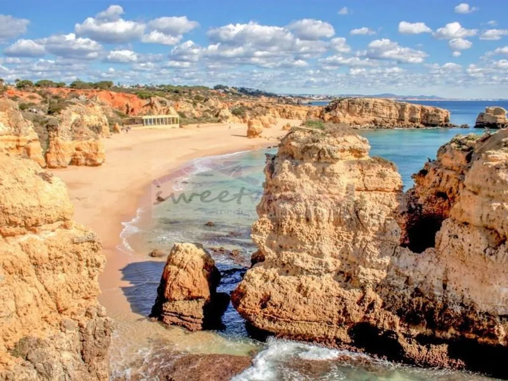 Jardin - Luxury Sea View Apartment in Correia, Albufeira