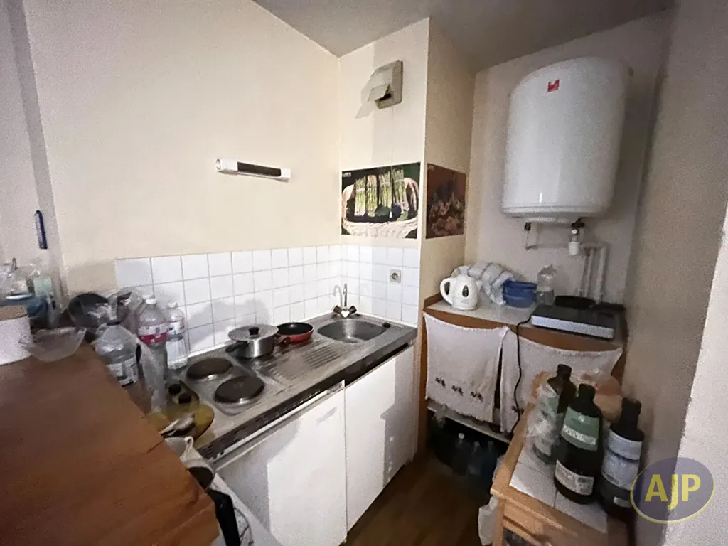 Cucina - 1-Bedroom Apartment with River View in Nantes