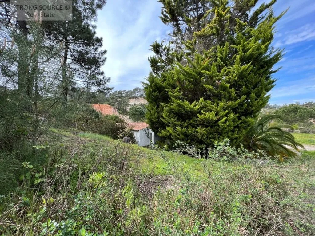 Jardin - Luxury Detached Villa with Pool in Casal das Figueiras